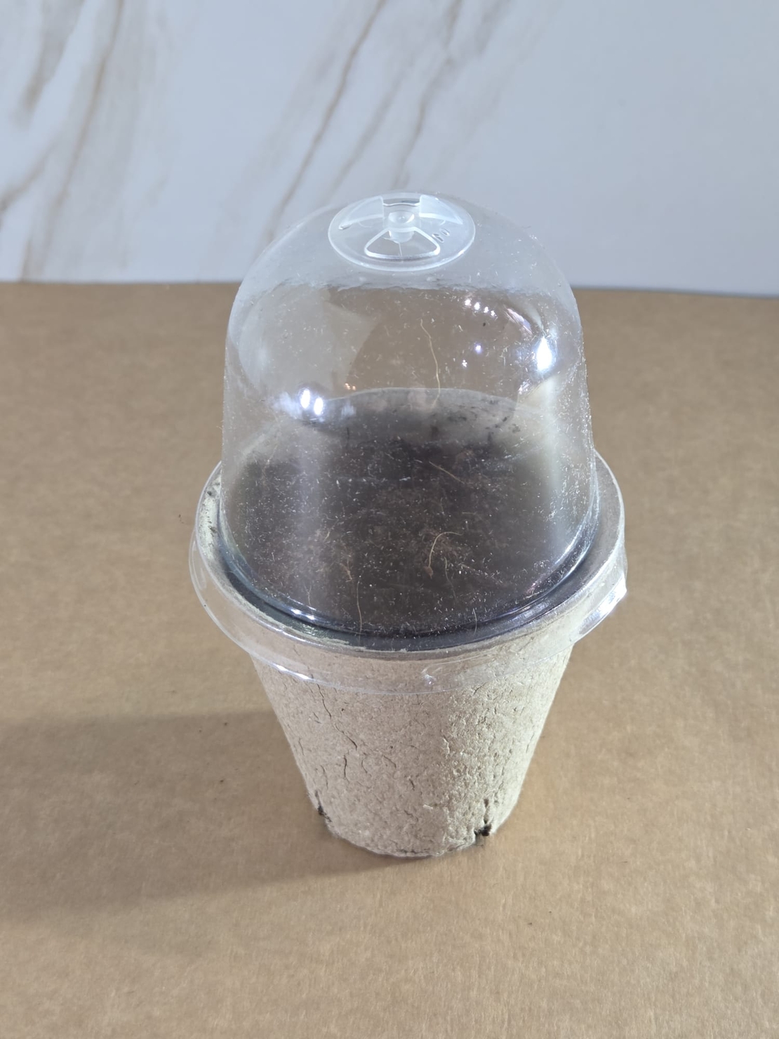 מארז לזריעה לט