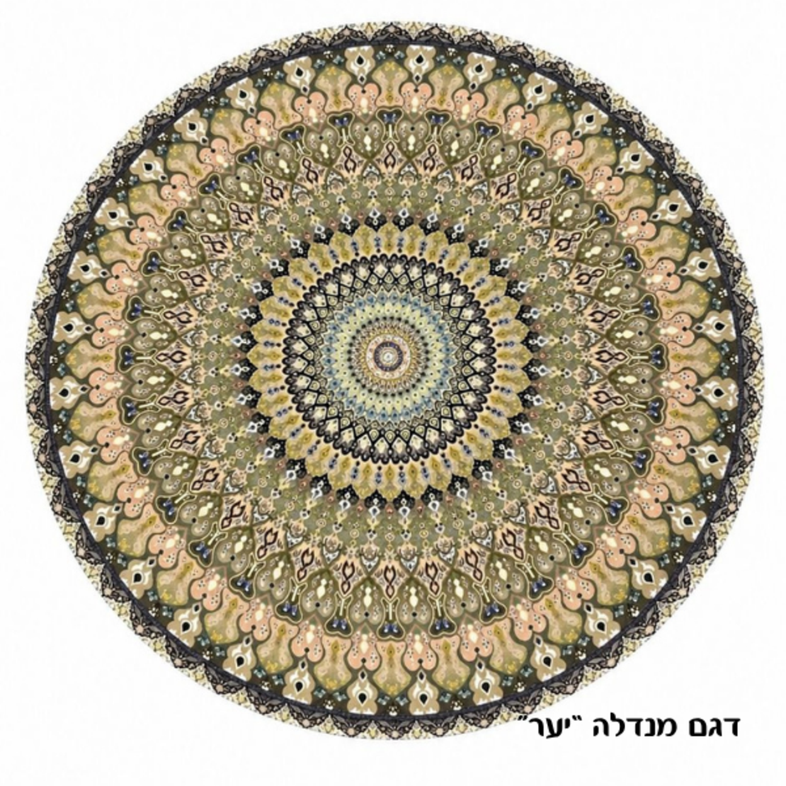 סט 6 פלייסמנטים חמים עגולים בעיצוב 