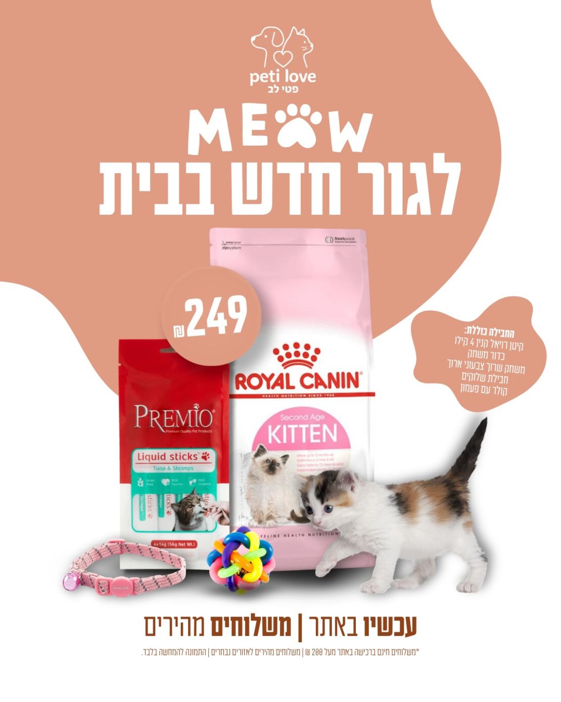 חבילה לגור חתולים (עד גיל שנה)