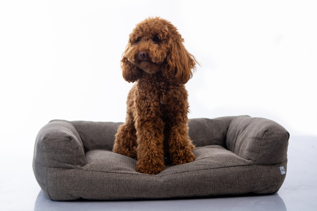 MAIKA - מיטת AMARO