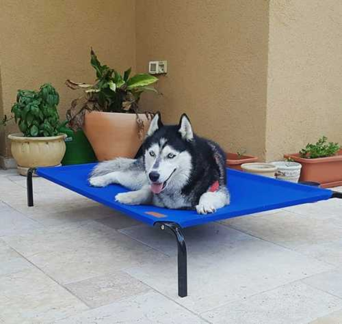 מיטת רשת 114*76 DogsLife | דוגסלייף