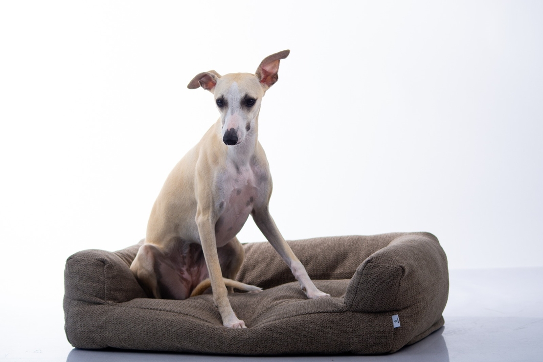 MAIKA - מיטת AMARO