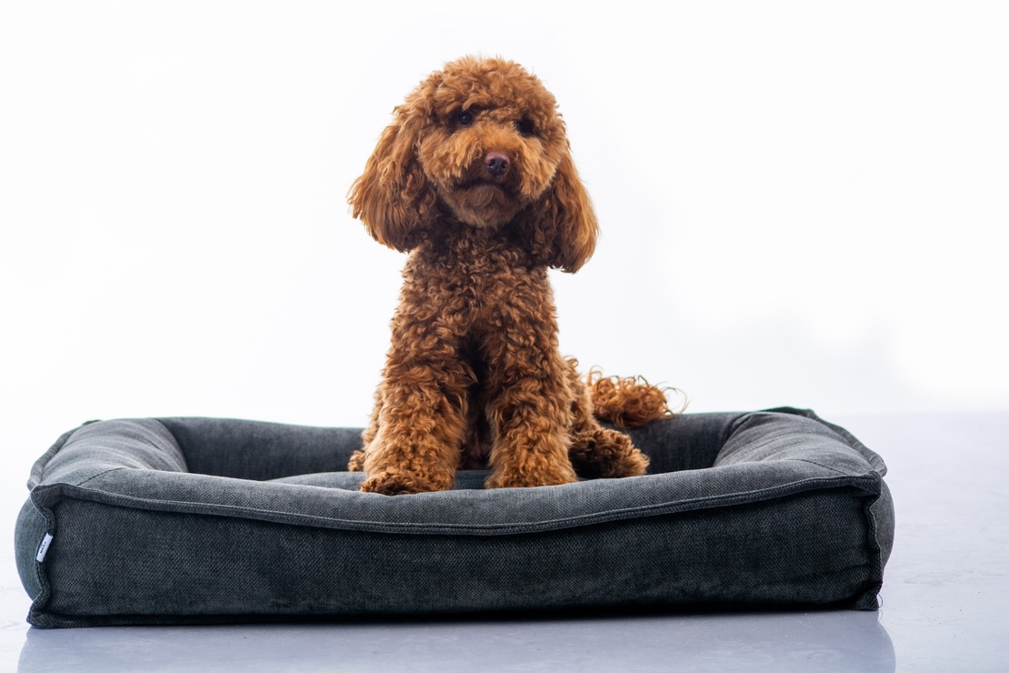 MAIKA - מיטת LUNA