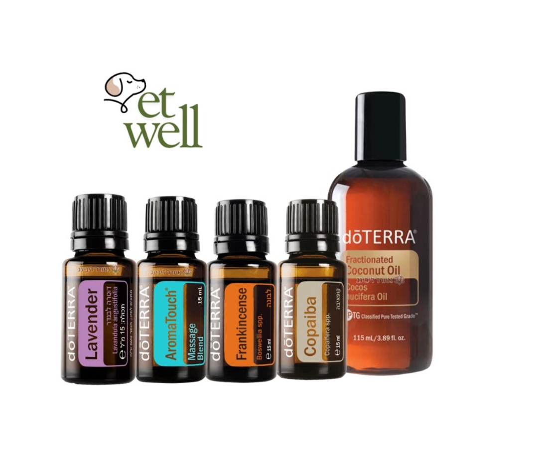 חבילת עזרה ראשונה של דוטרה