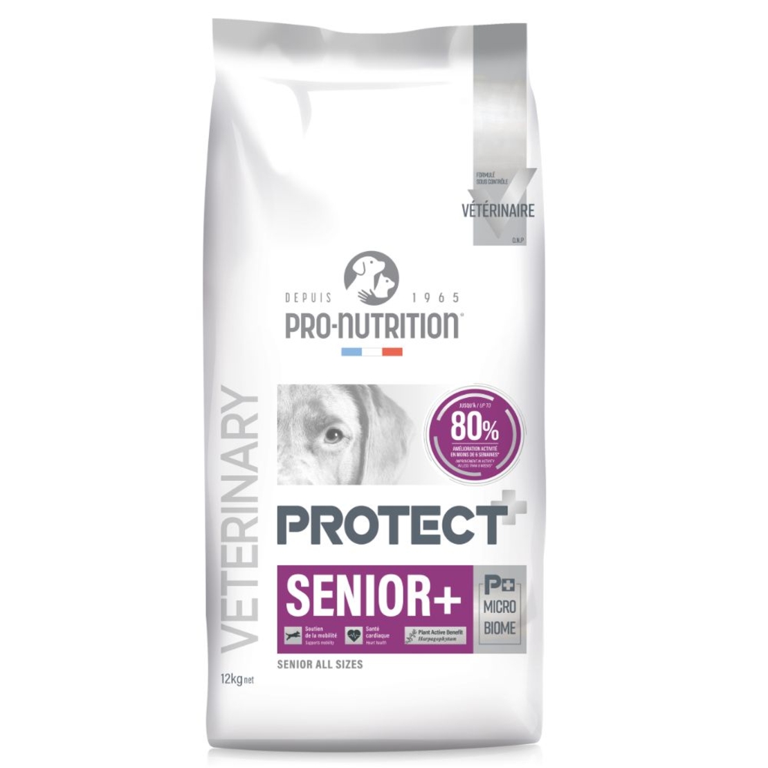 פרוטקט סניור+ 2 ק