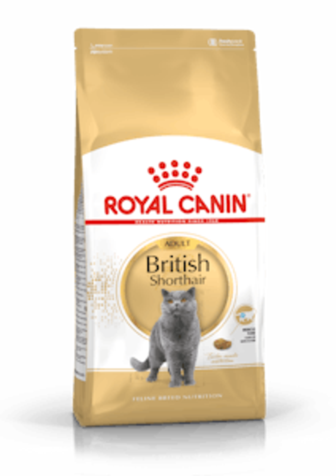 בריטי חתול 10 קג FBN