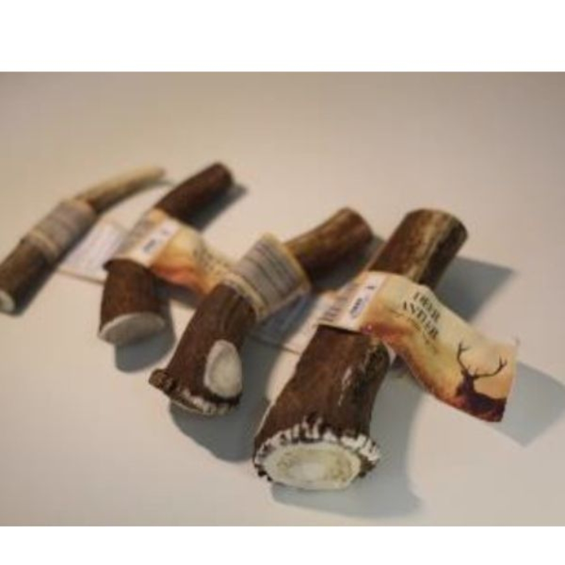 קרן אייל מלאה מידה XL