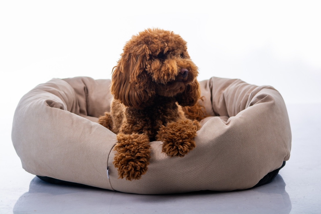 MAIKA - מיטת ARIA