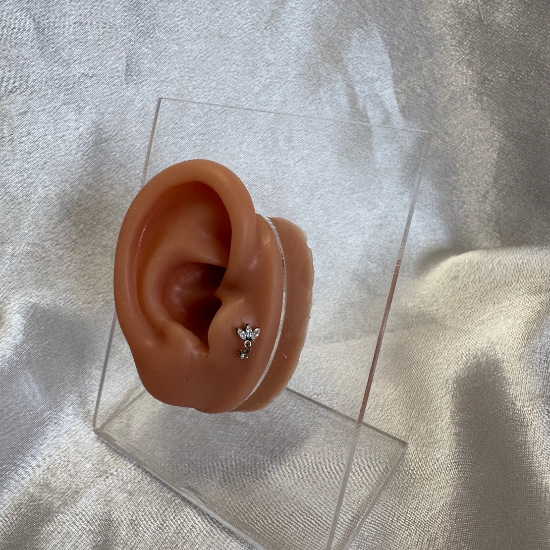 עגיל טראגוס לוטוס