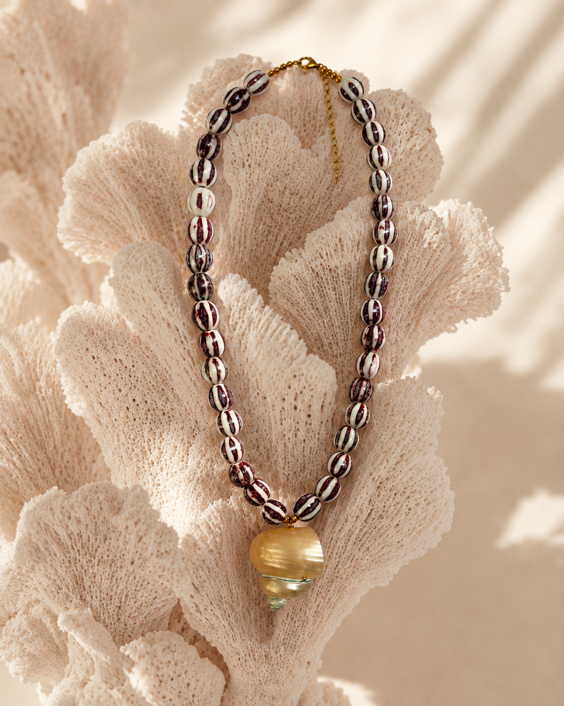 שרשרת Sea shell