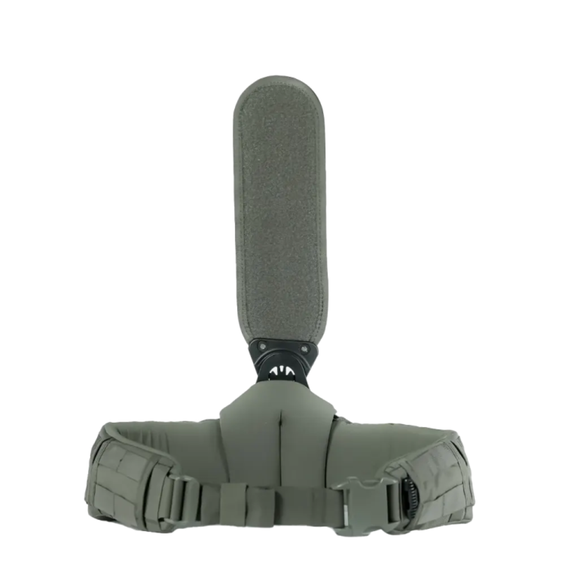 חגורת אגן – מרעום דולפין –