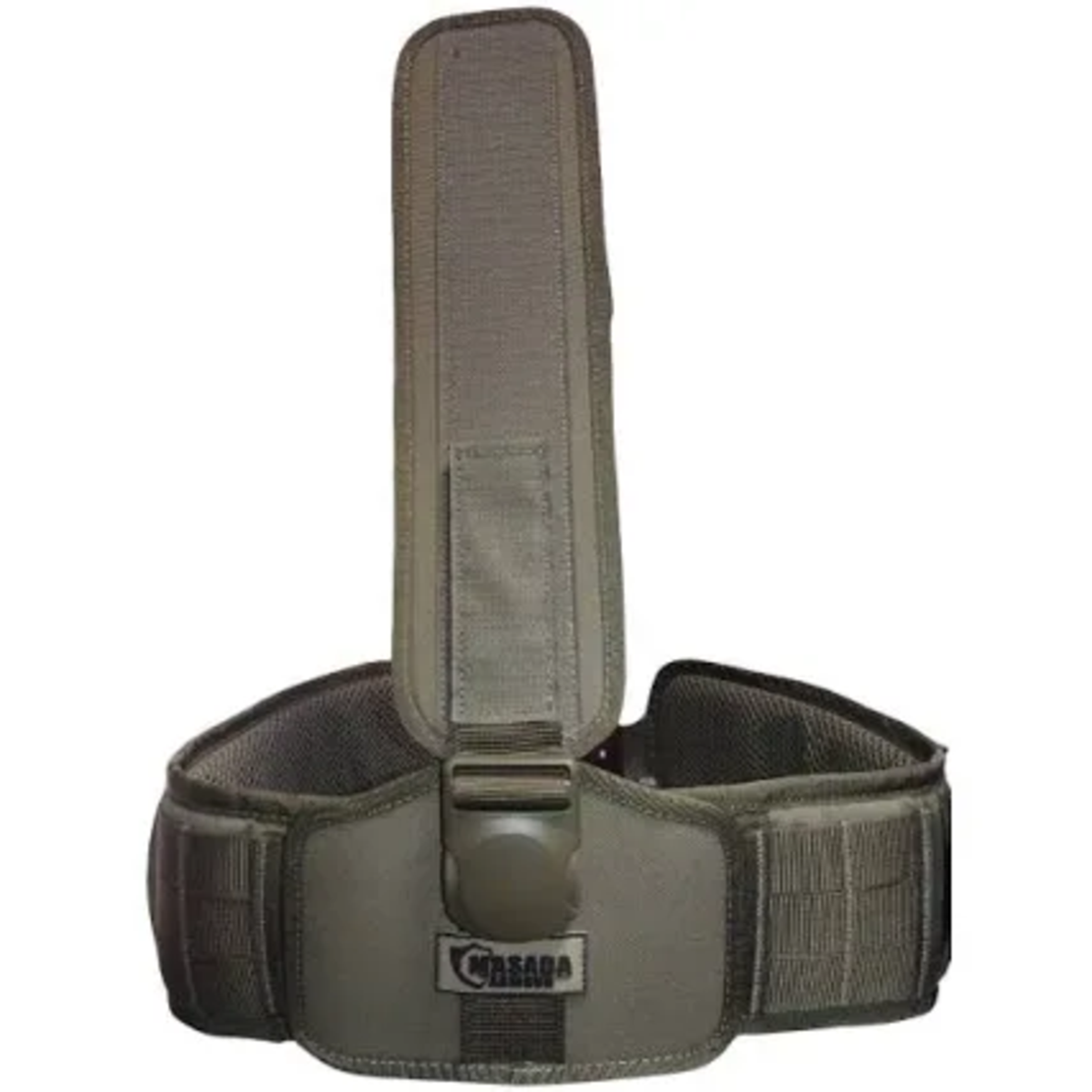 מערכת גב (מלפפון מצדה)