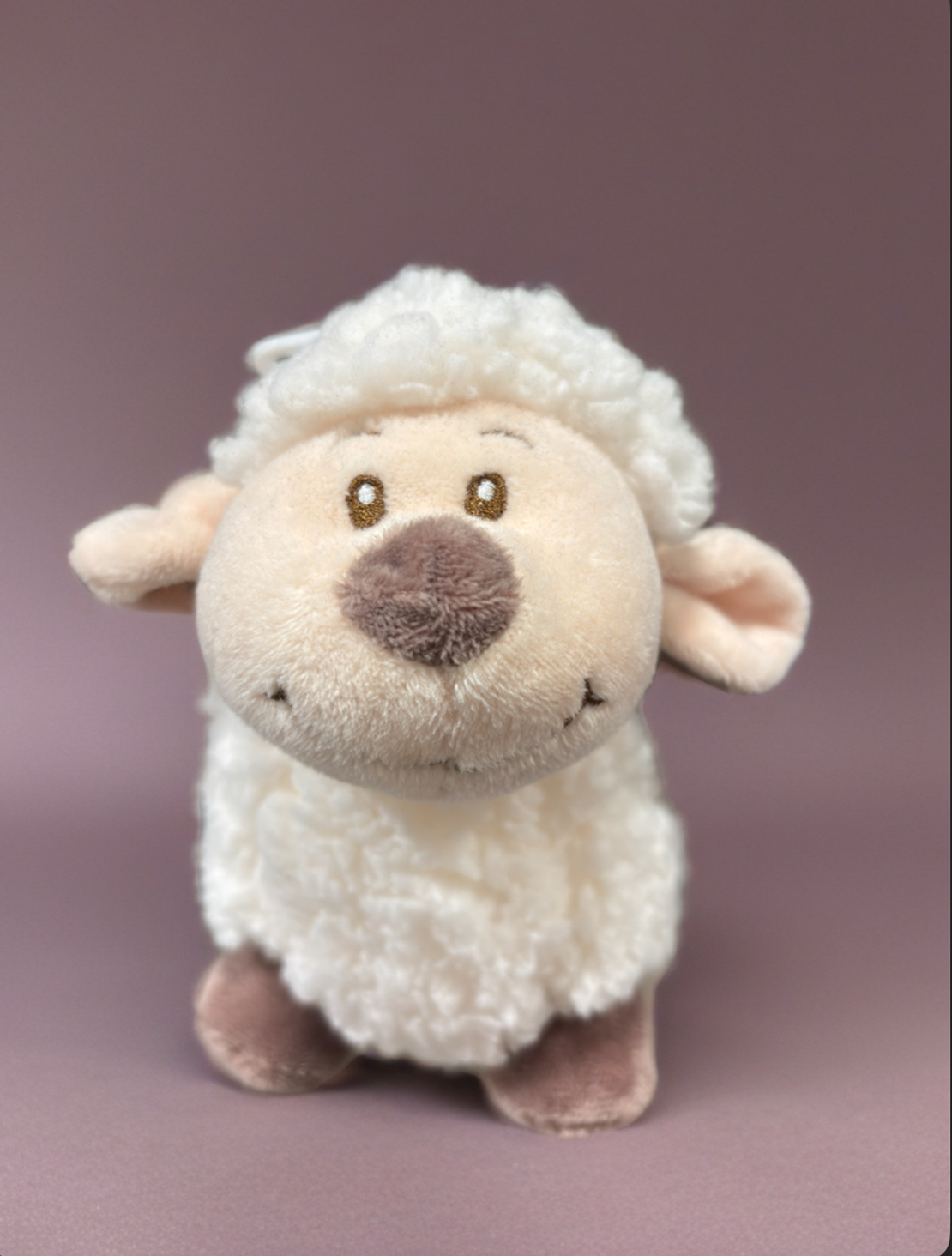 כבש קטן ירושלים