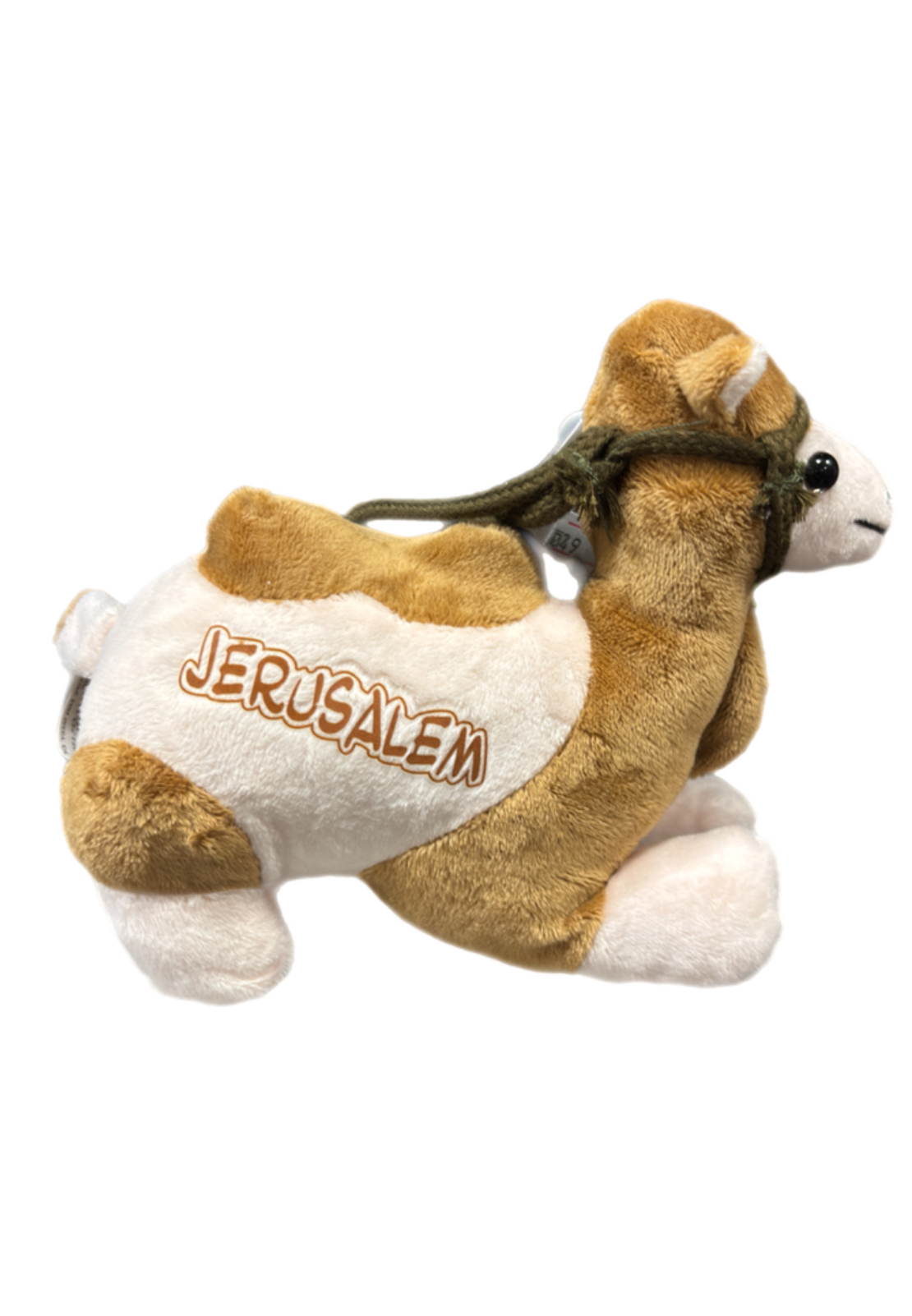 גמל קטן ירושלים