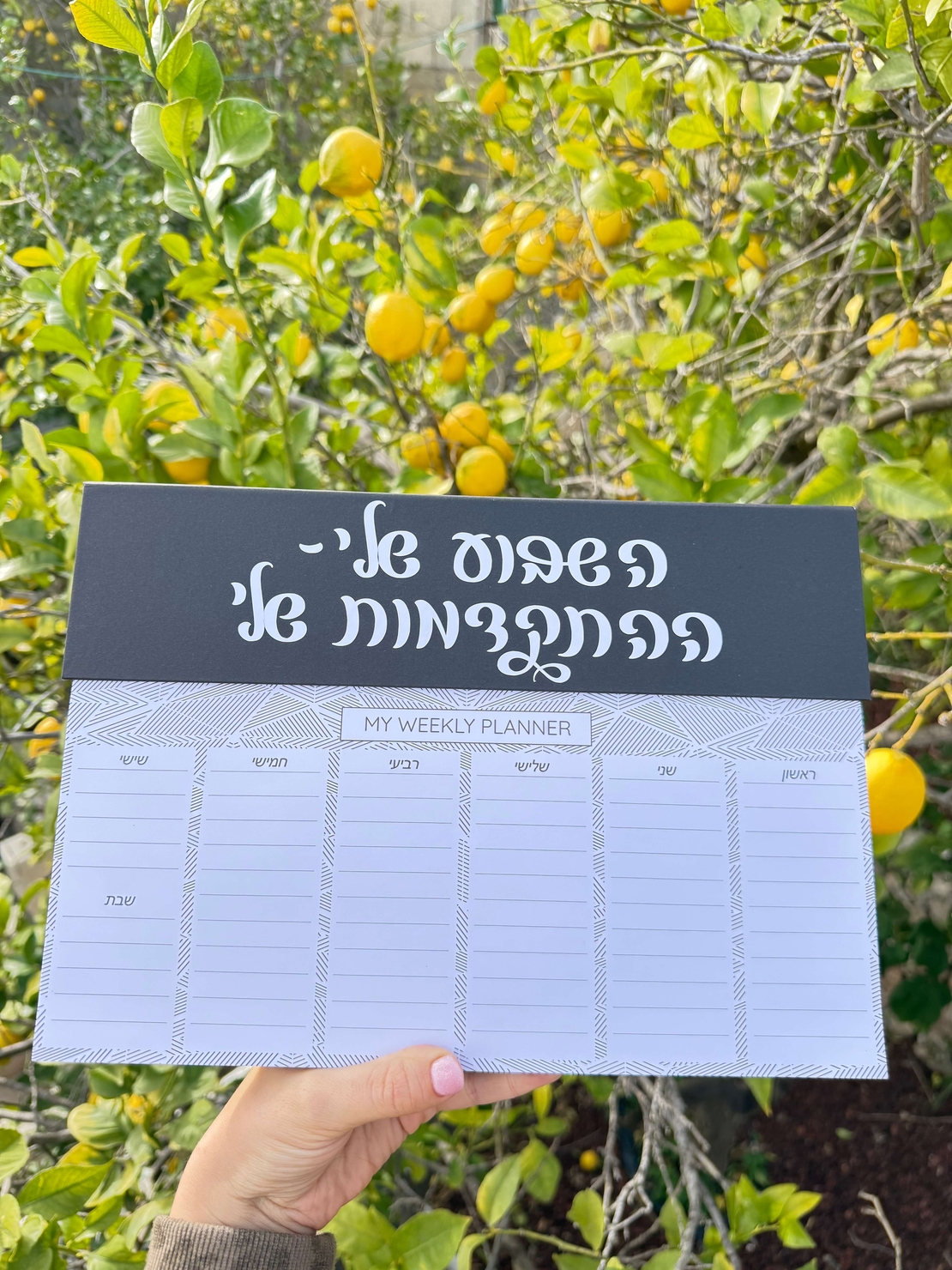 תכנון שבועי