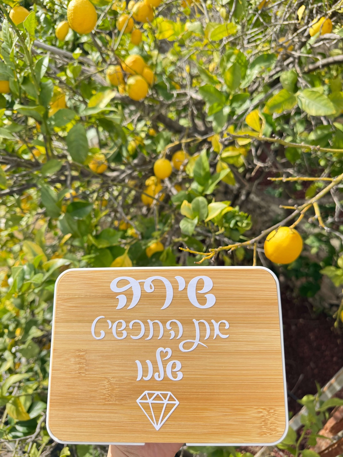 קופסת תכשיטים ממותגת עם מראה