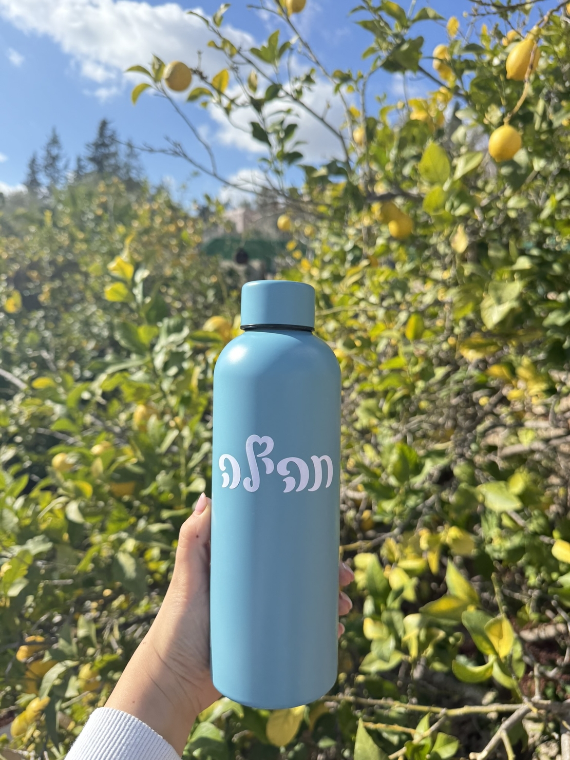 בקבוק תרמי פסטל