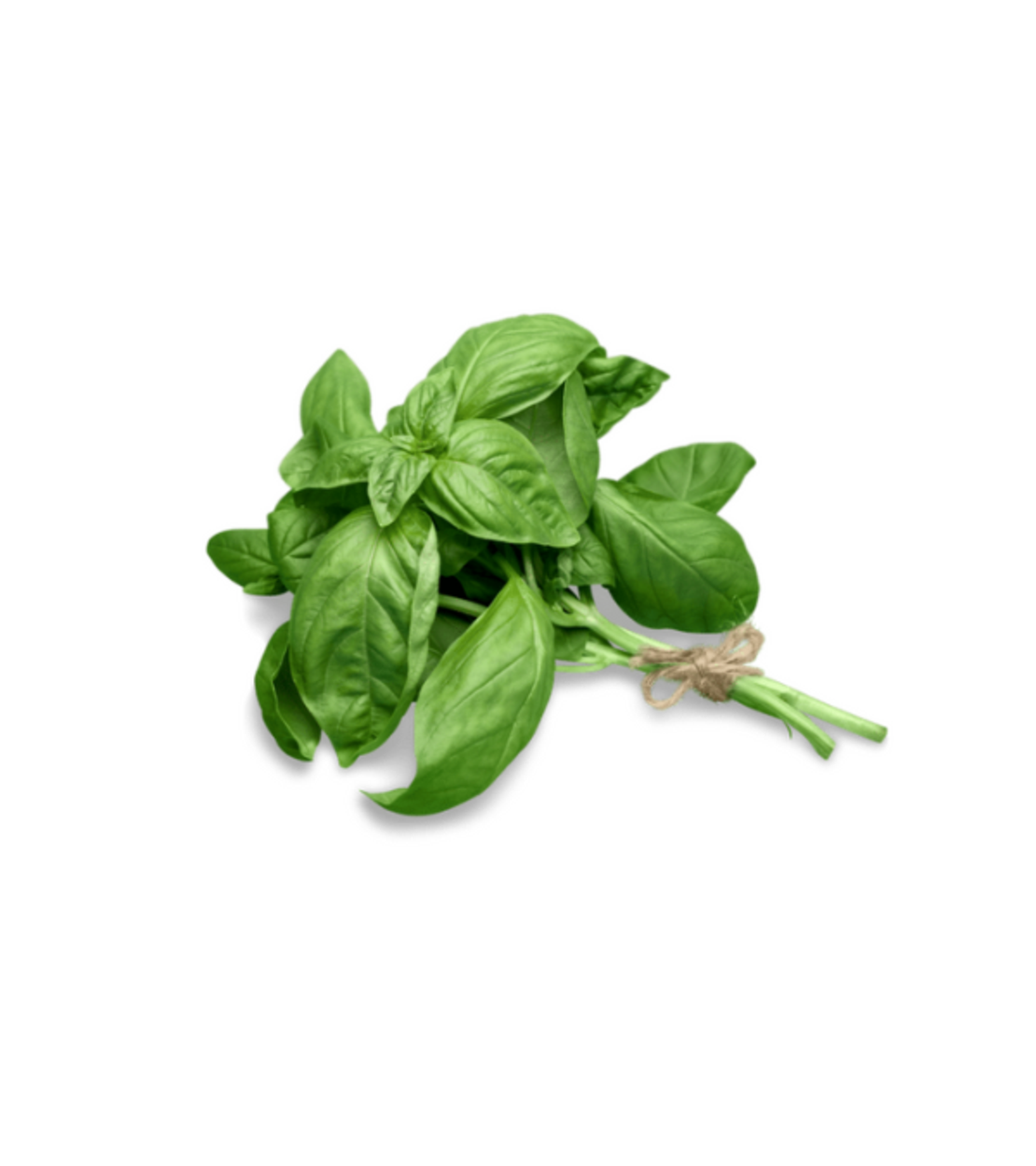 בזיליקום טרי | באריזה