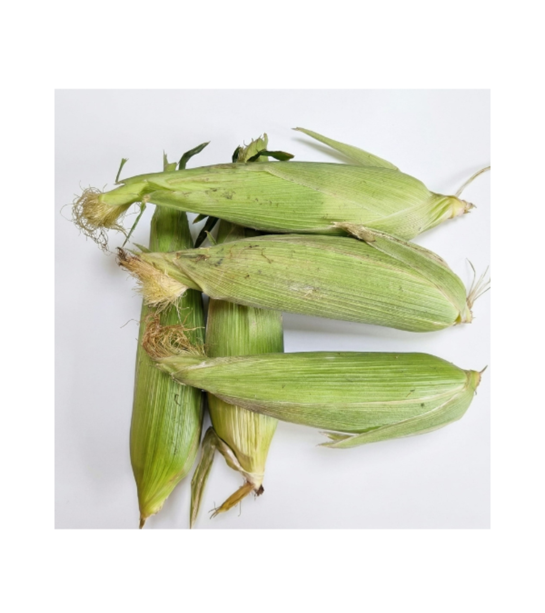 תירס לבן | לפי 1 קילו