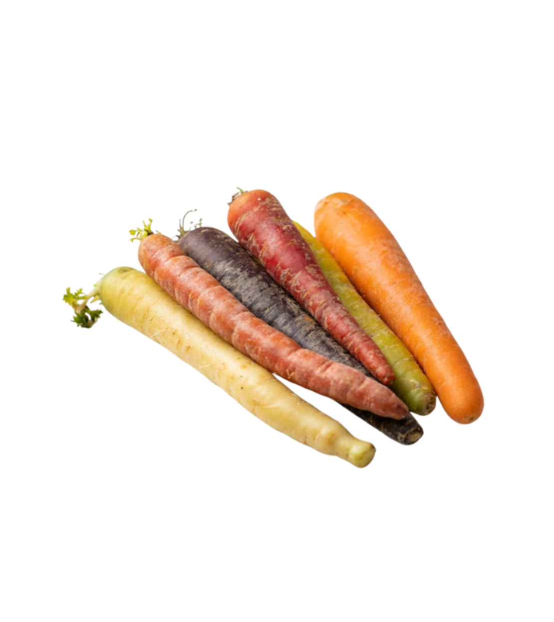 גזר צבעוני | אריזה