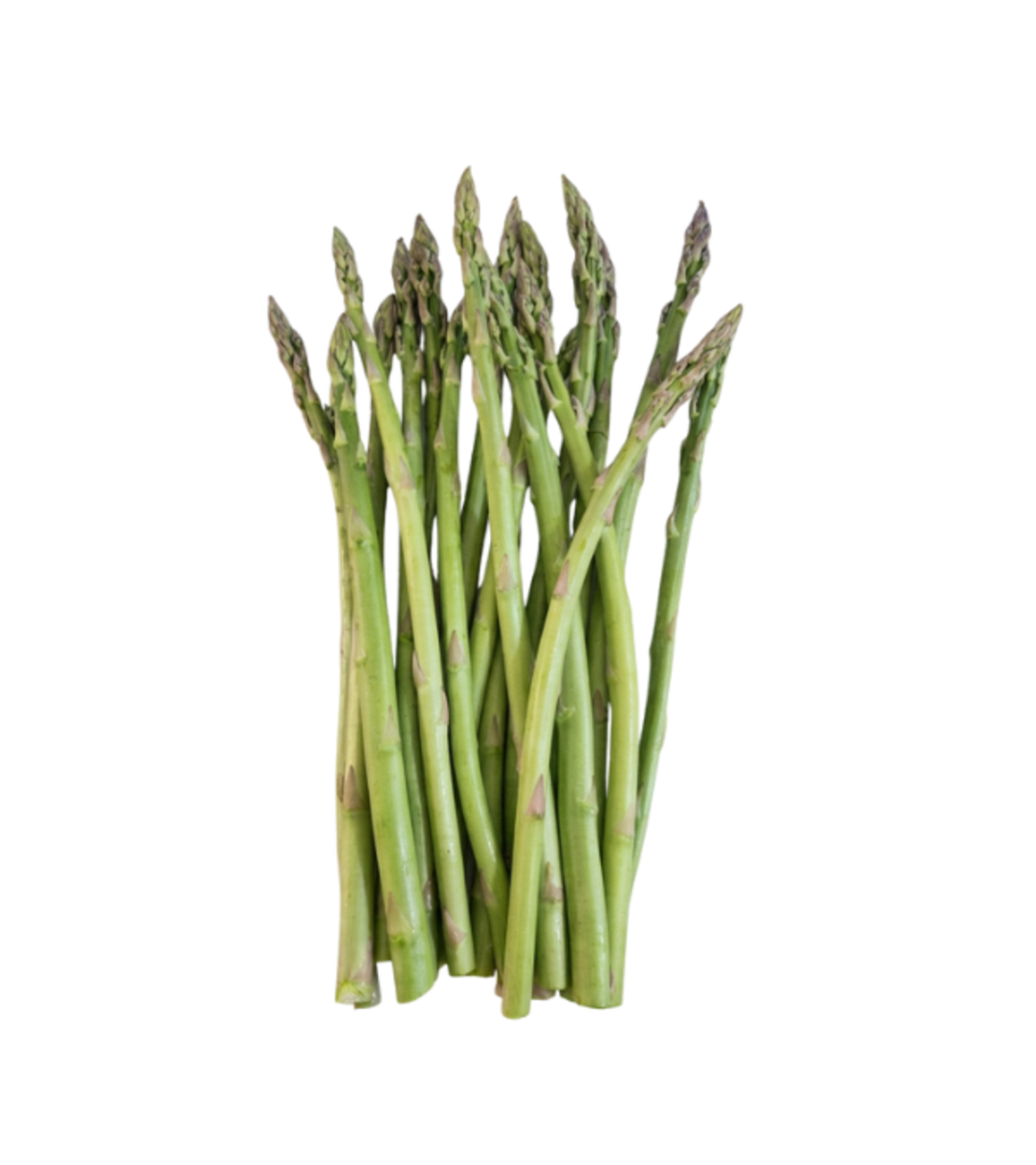 אספרגוס | באריזה