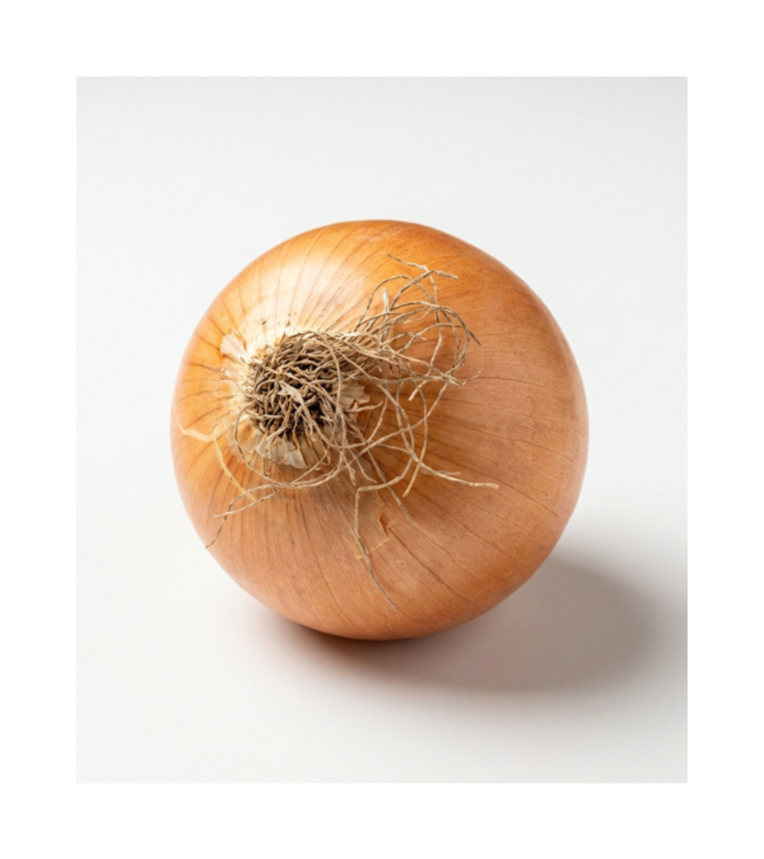 בצל לבן | לפי 1 קילו