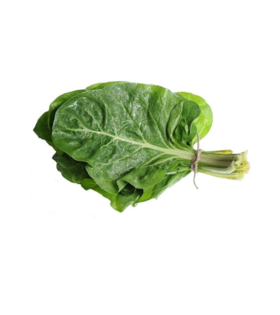 מנגולד טרי | באריזה