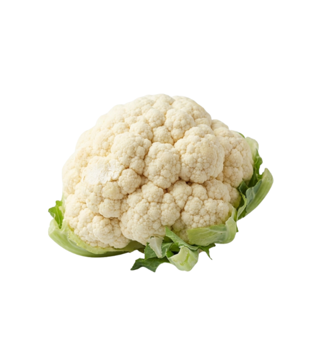 כרובית | ארוזה