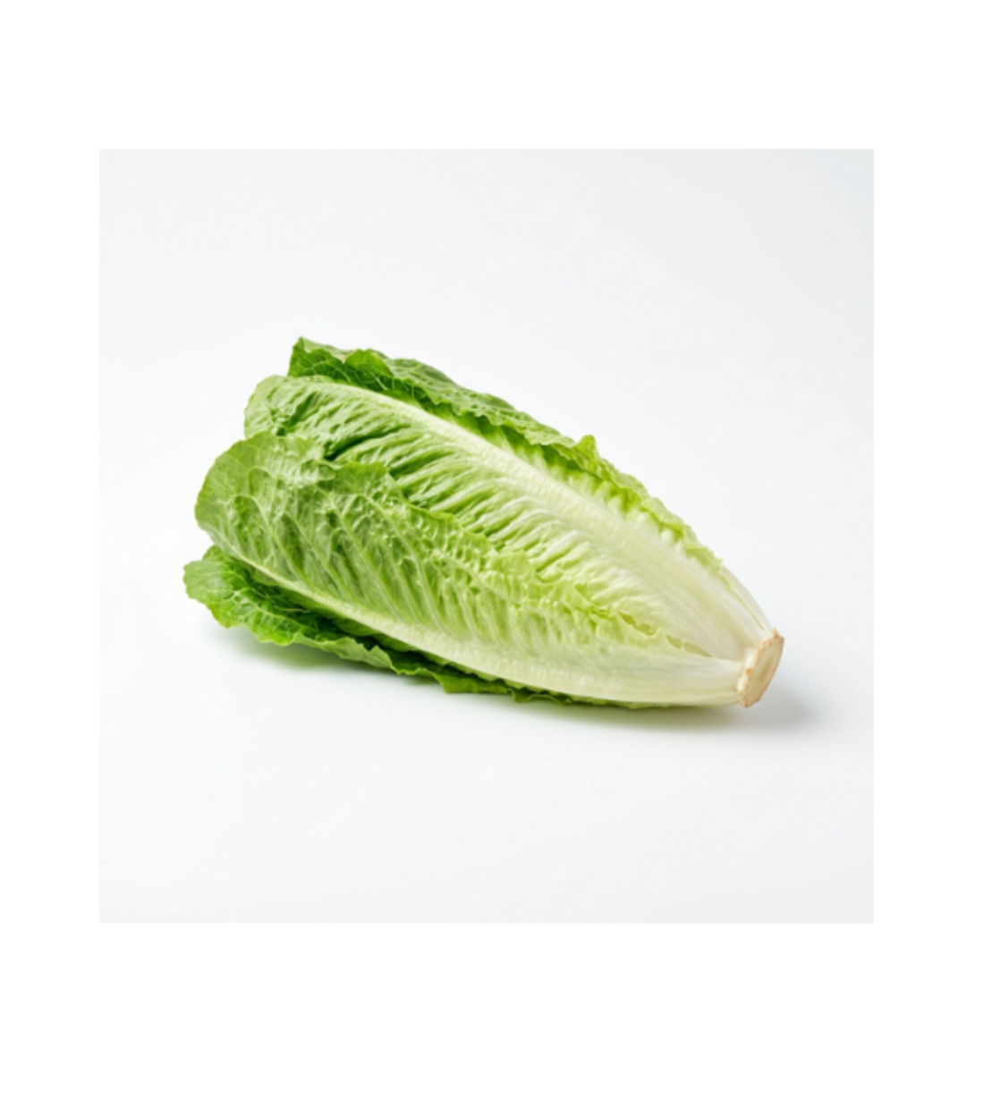 לבבות קיסר | 2 יח' באריזה