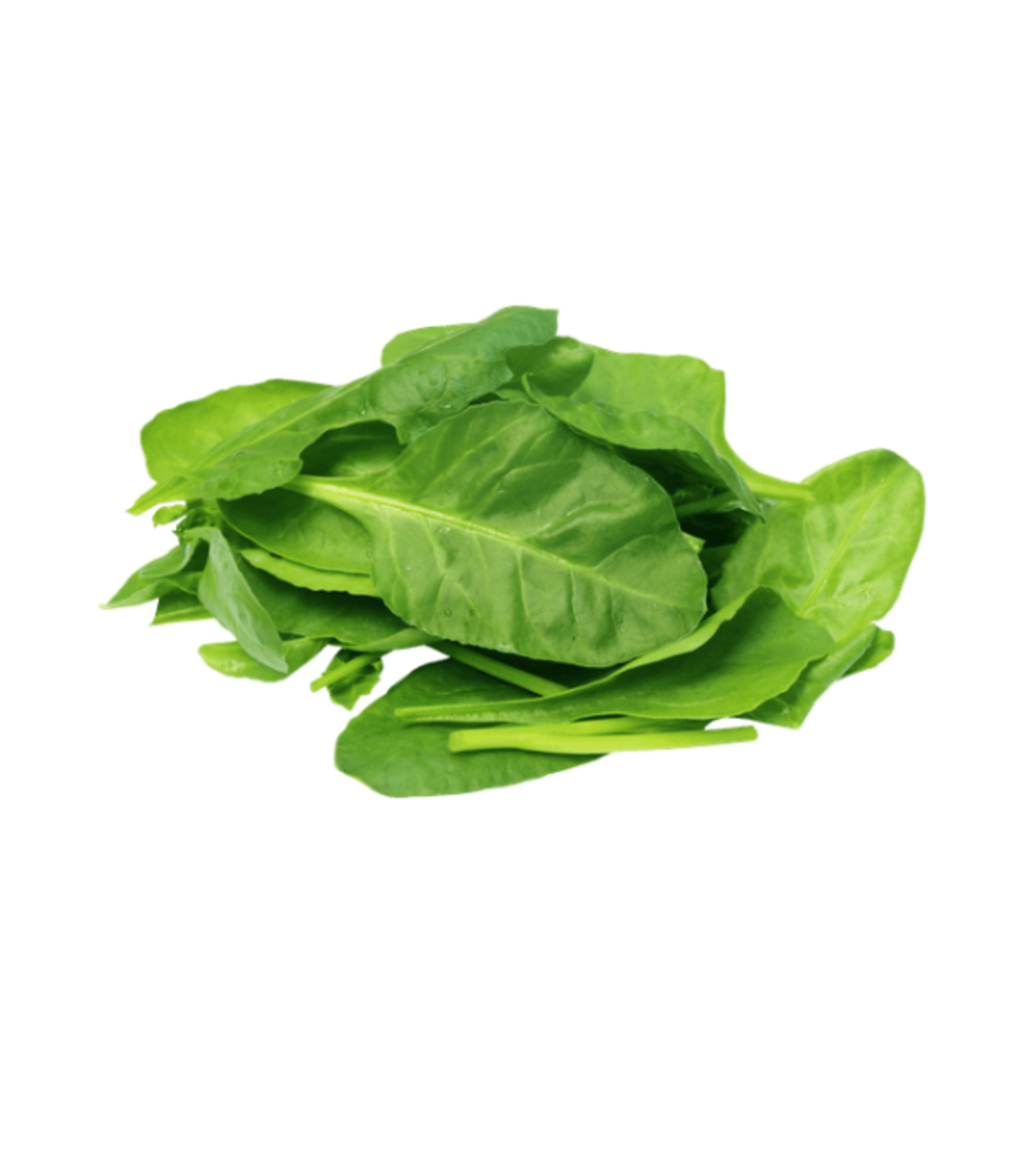 תרד ניו־זילנדי – באריזה