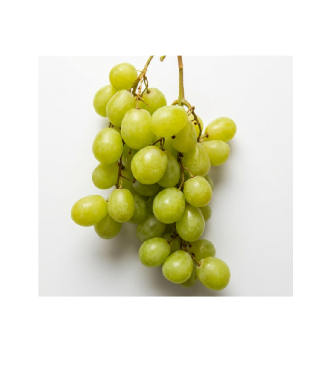 ענבים ירוקים/לבנים | יבוא -  לפי 1 קילו