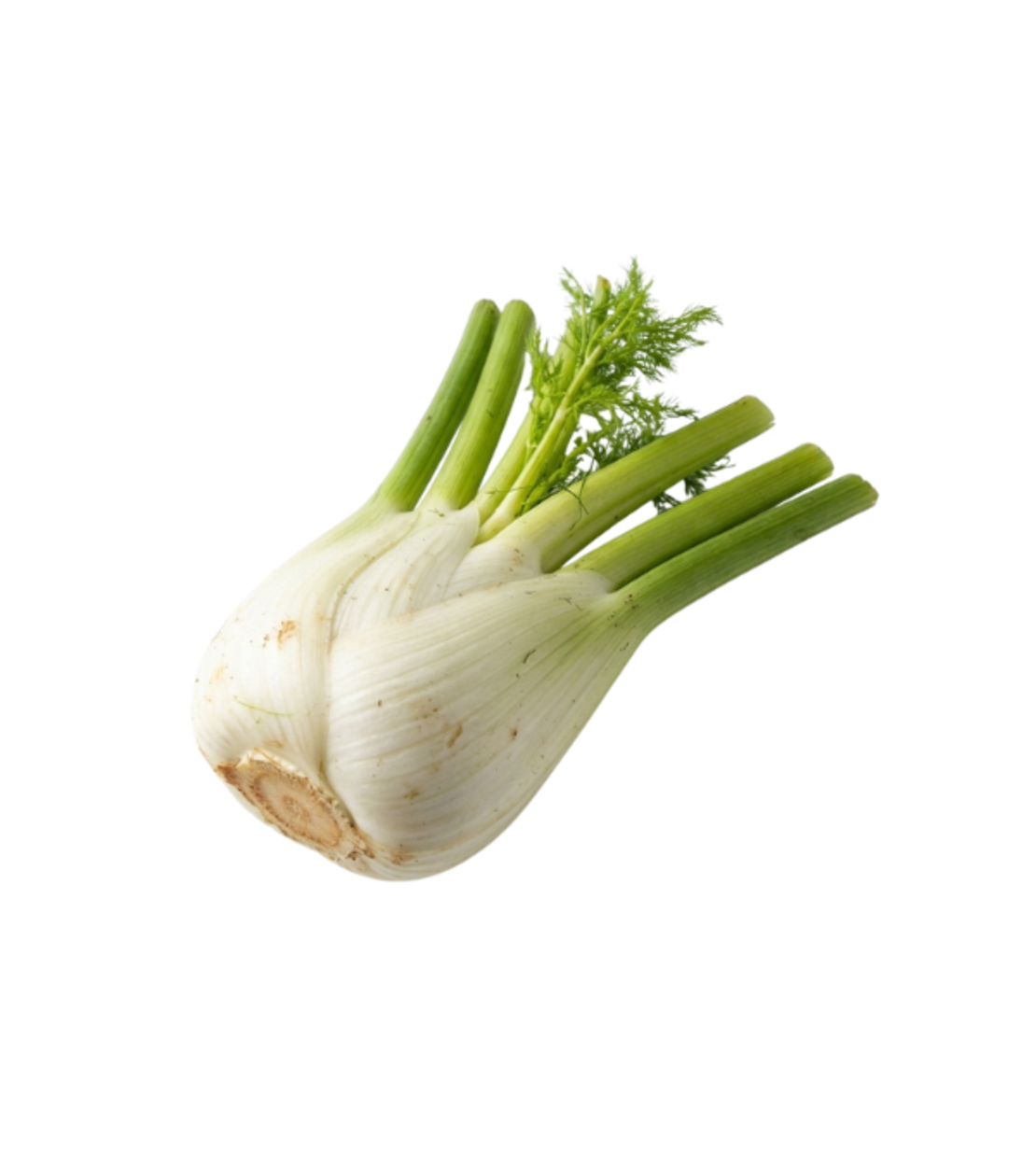 שומר | לפי 1 קילו