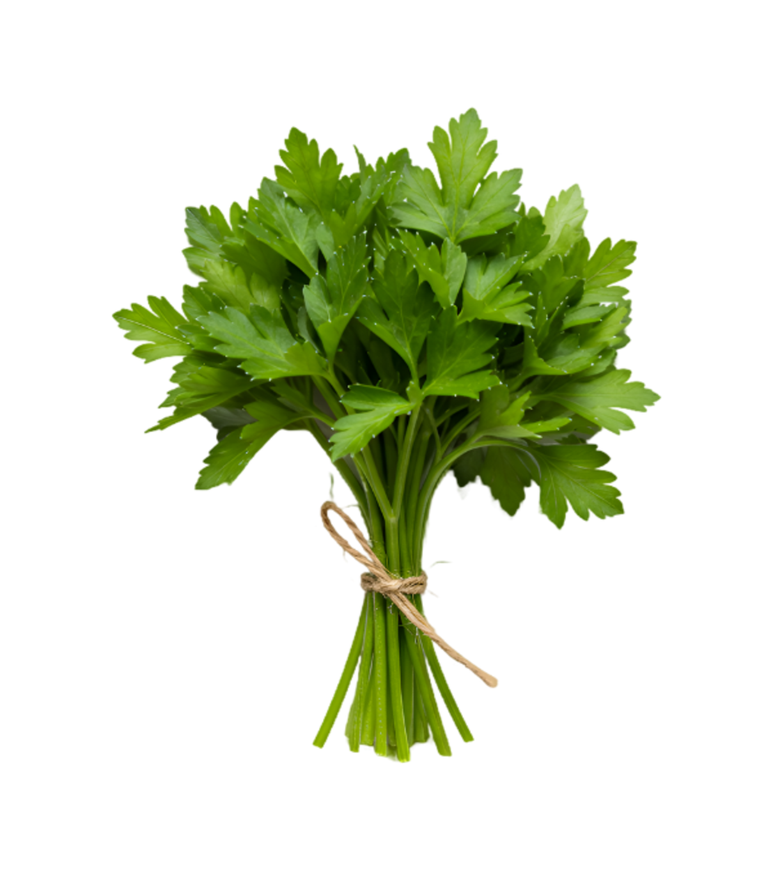 פטרוזיליה | ארוז