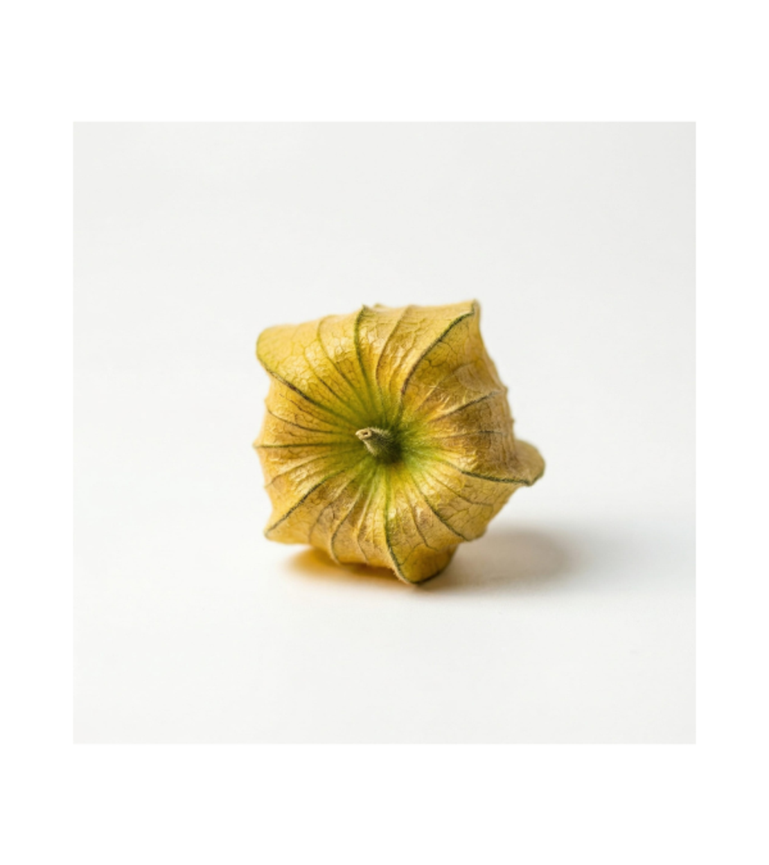 גולדן ברי | אריזה