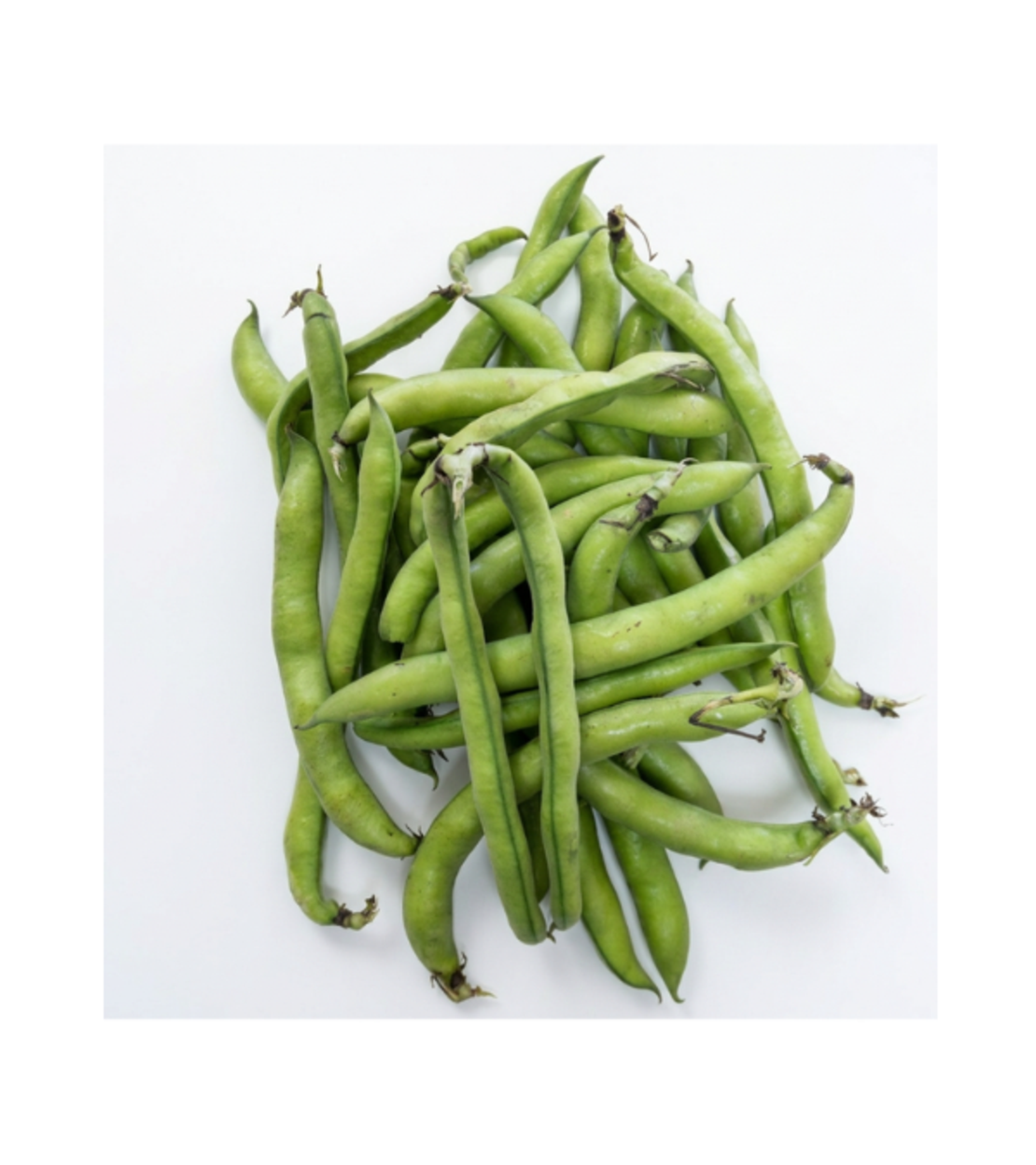 פול | לפי 1 קילו