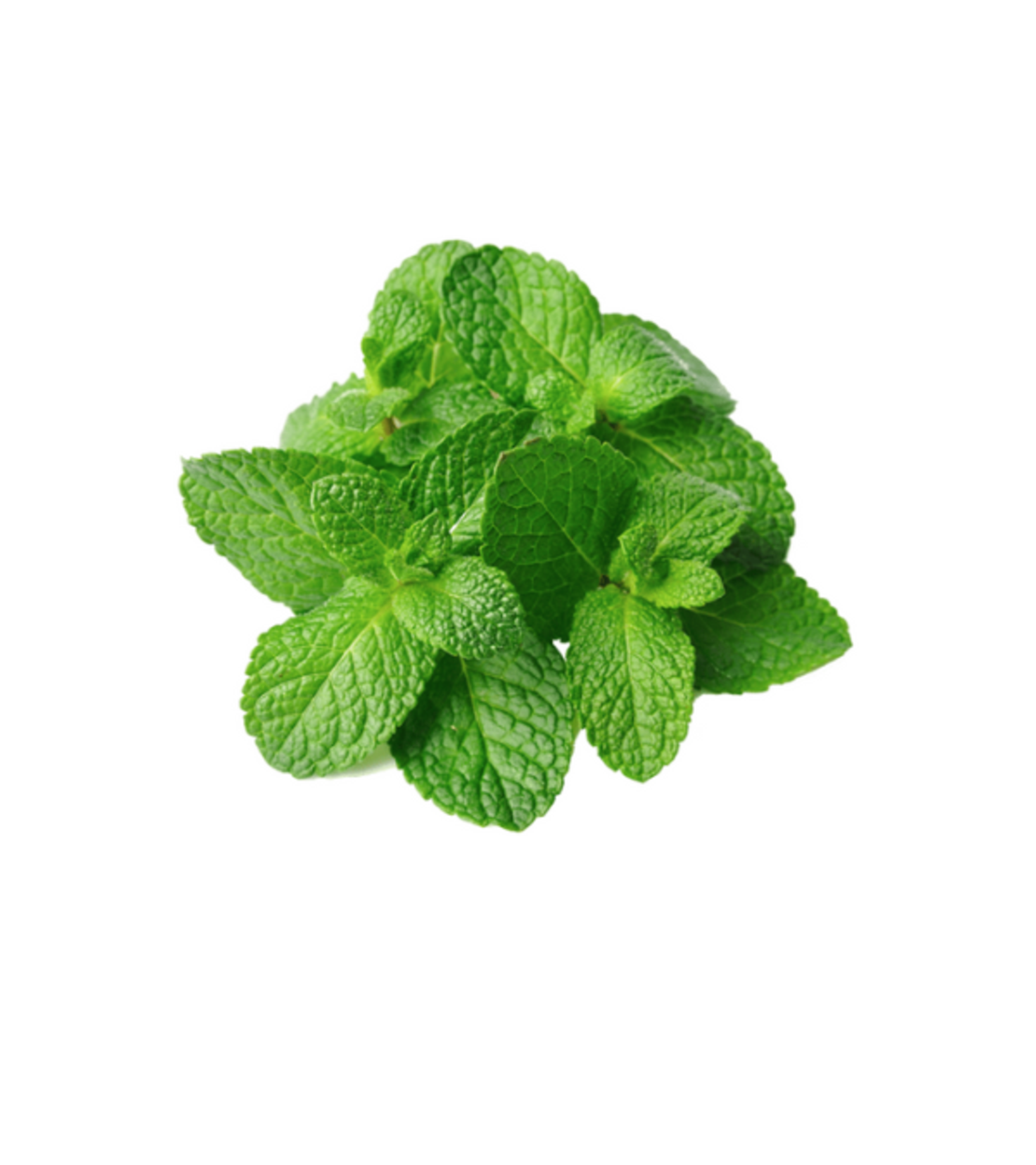 נענע טרייה | ארוזה