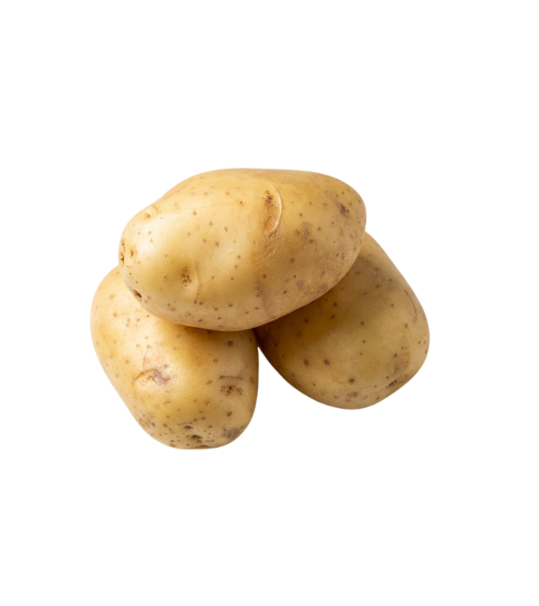 תפוח אדמה ג'אמבו לבן | לפי 1 קילו