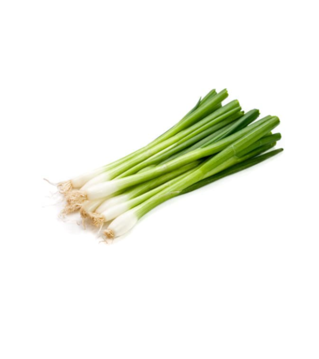 בצל ירוק | ארוז