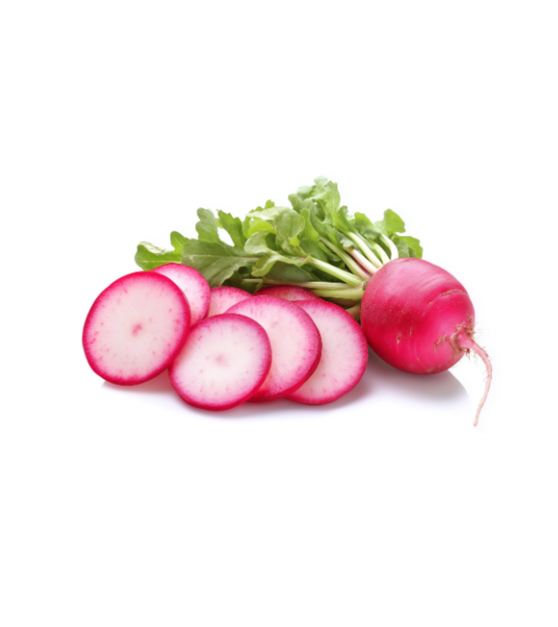 צנונית | אריזה