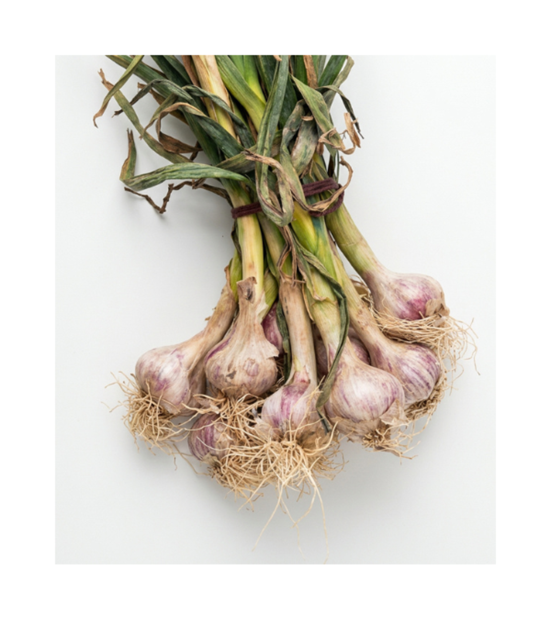 שום ירוק | לפי 1 קילו