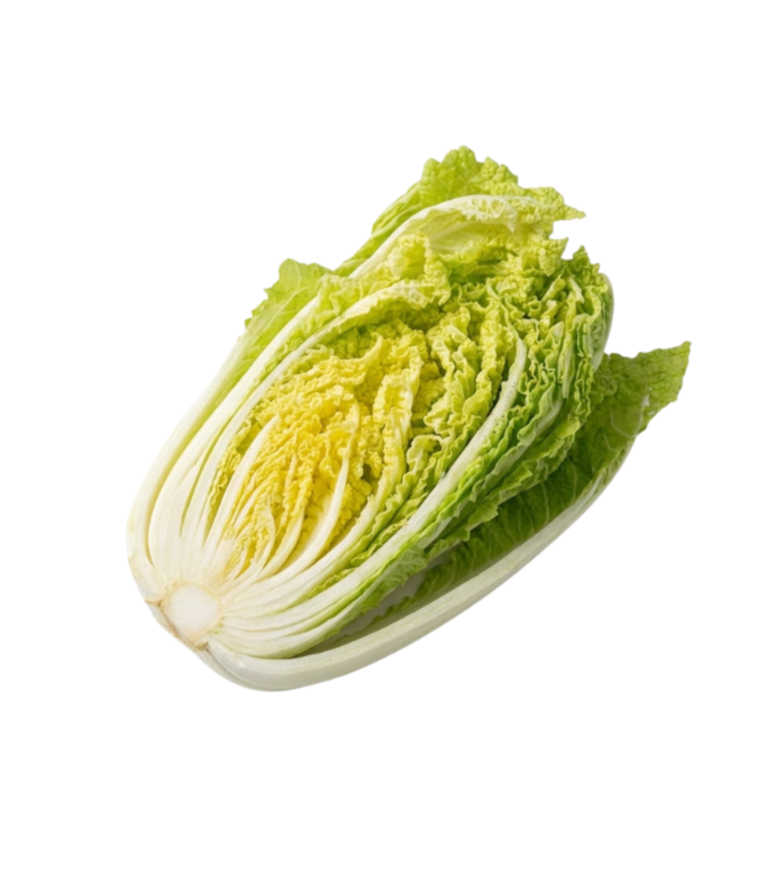 כרוב סיני | באריזה