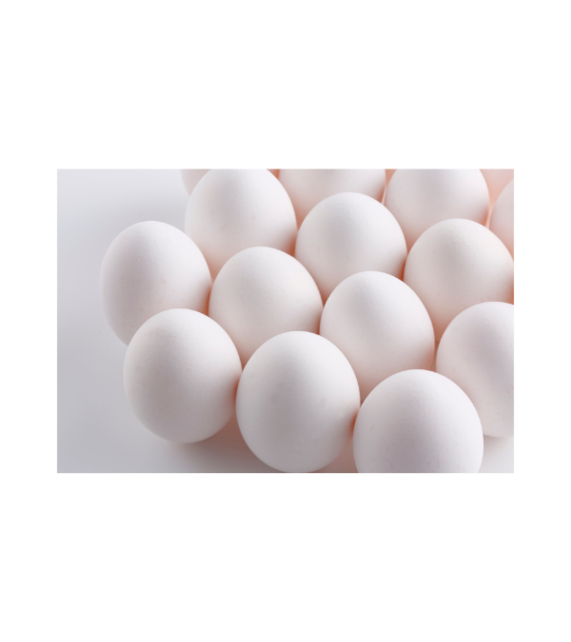 ביצים – תבנית 18 יח׳ (מידה L)