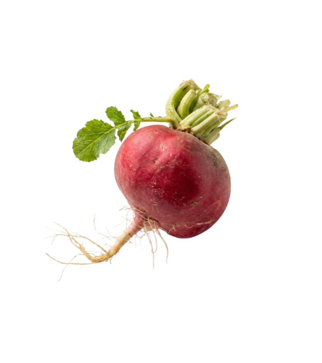 צנון | לפי 1 קילו