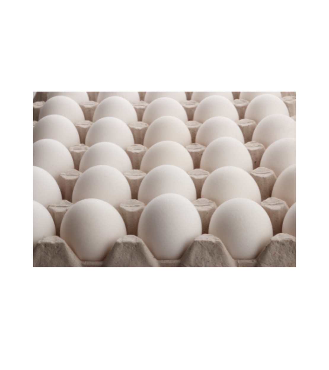 ביצים – תבנית 30 יח׳