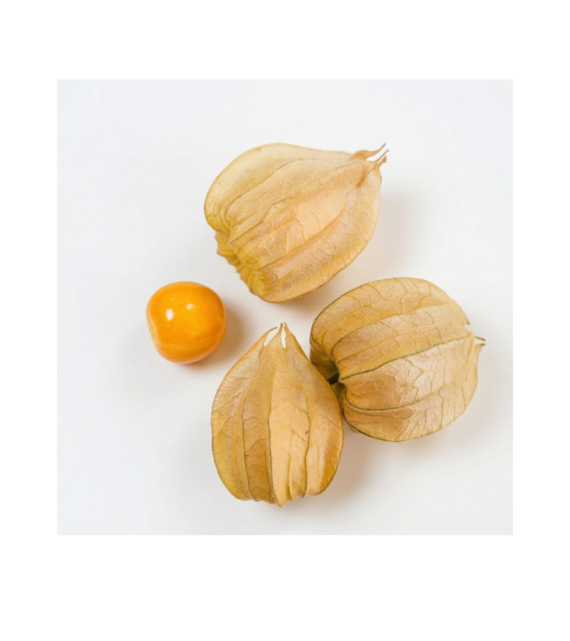 גולדן ברי | אריזה