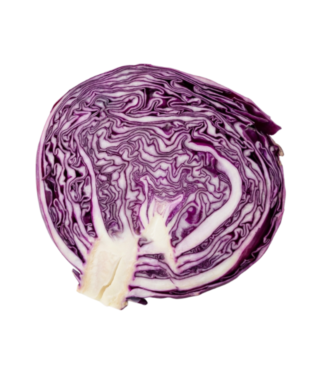 כרוב סגול שלם | לפי 1 קילו