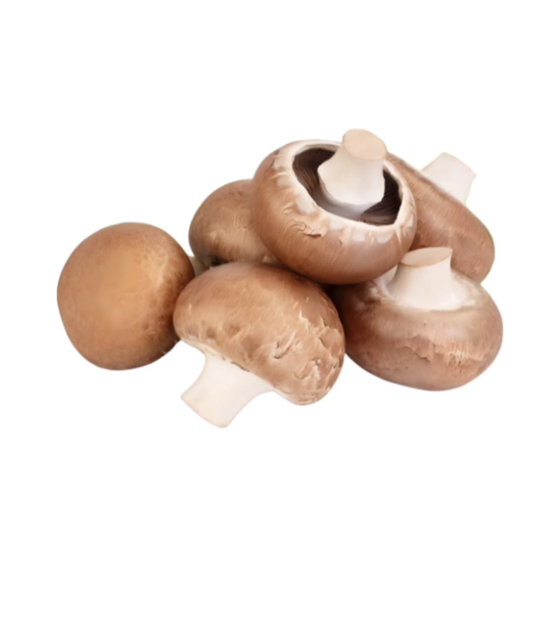 פטריות פורטבולו | מארז