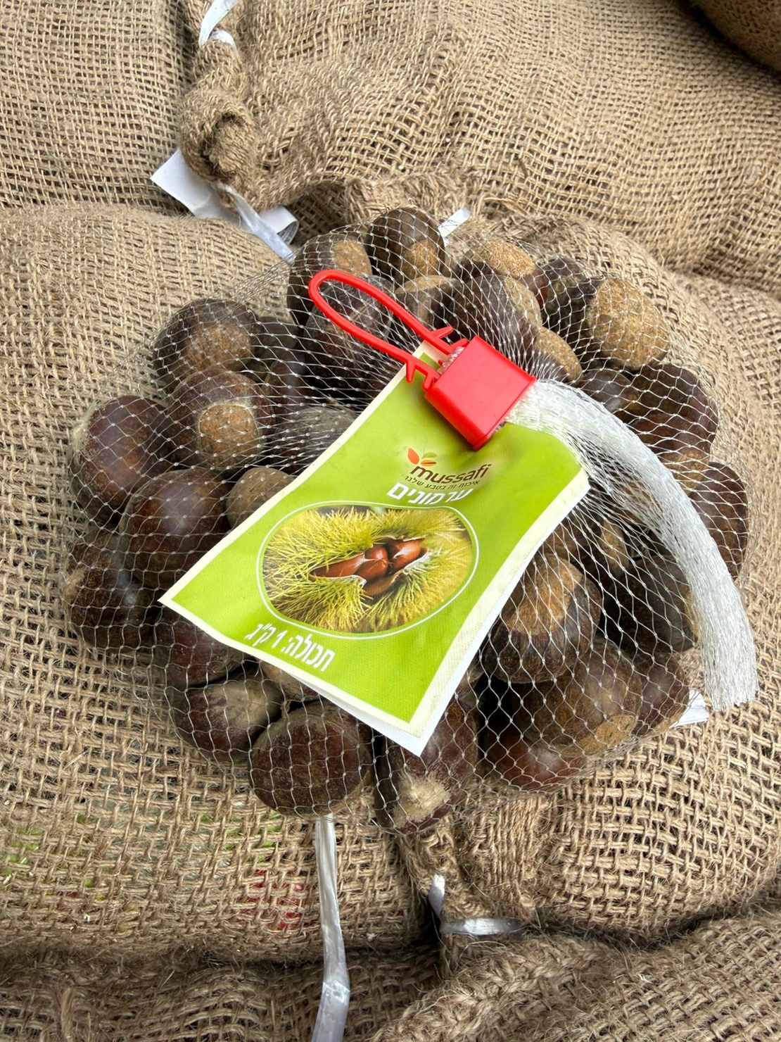 ערמונים 1 קילו מוצפי