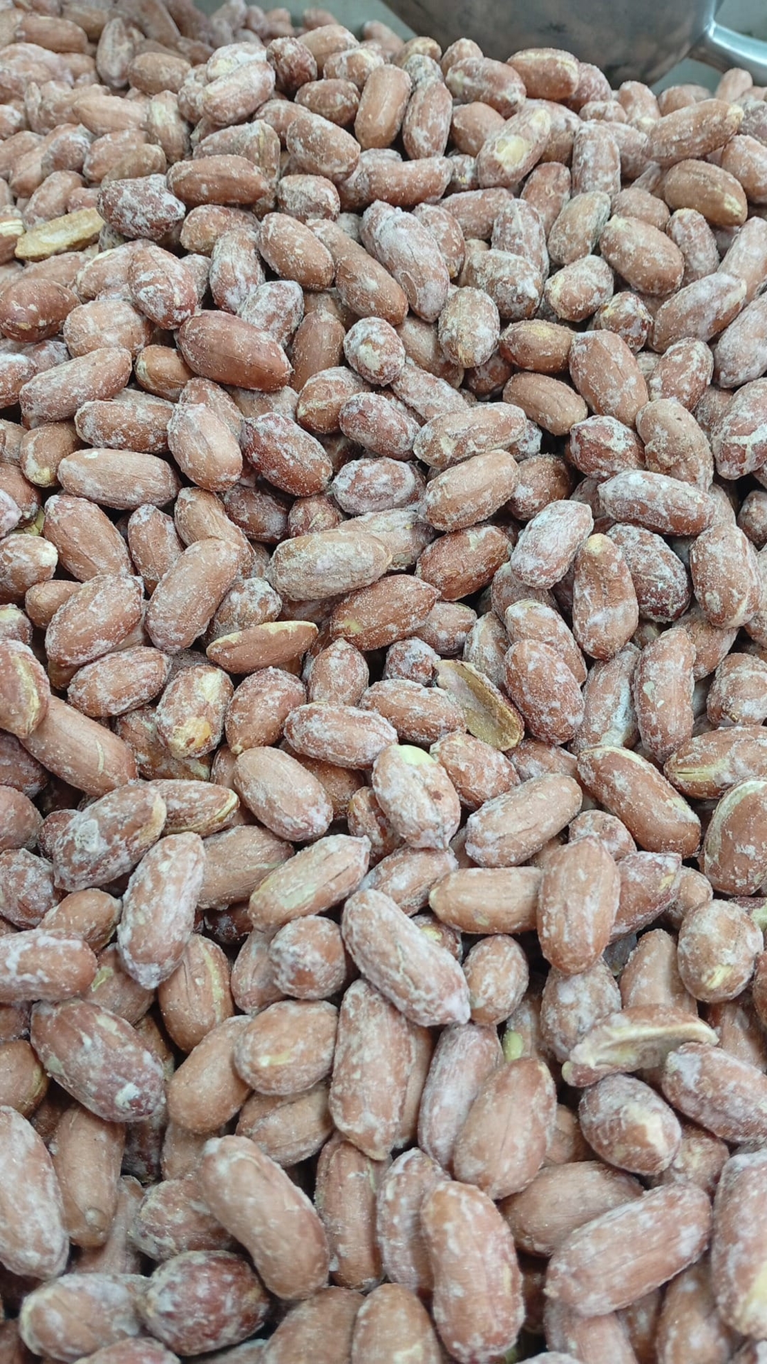 בוטנים קלוי 1 קילו