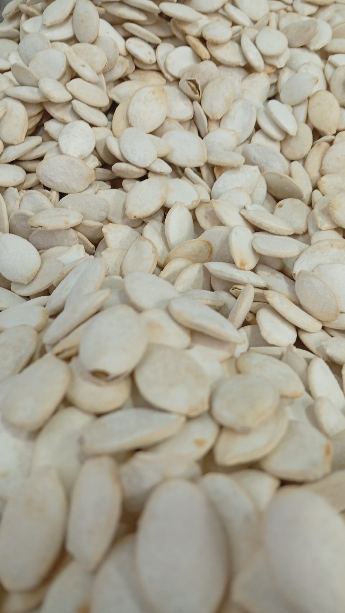 גרעיני דלעת קלוי 250 גרם